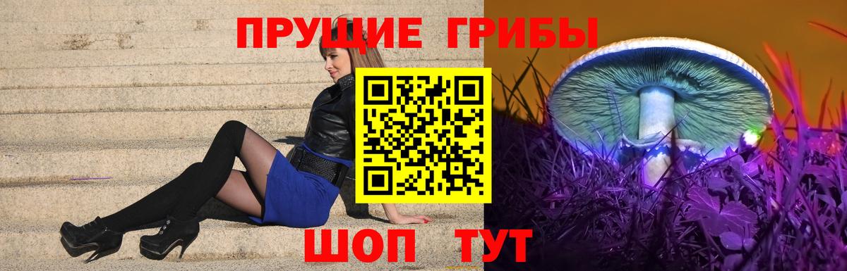 Галлюциногенные грибы GOLDEN TEACHER  Вход с VPN  Керчь  Псилоцибиновые грибы Psilocybine cubensis 